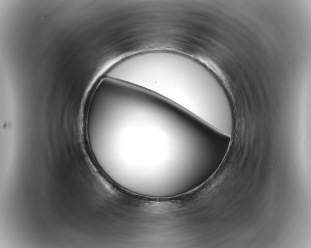 X0000087060894200704180934