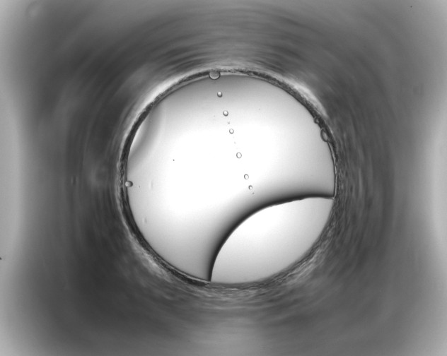 X0000087060895200704180934
