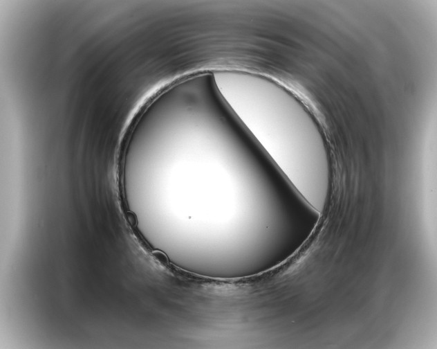 X0000087060896200704180934