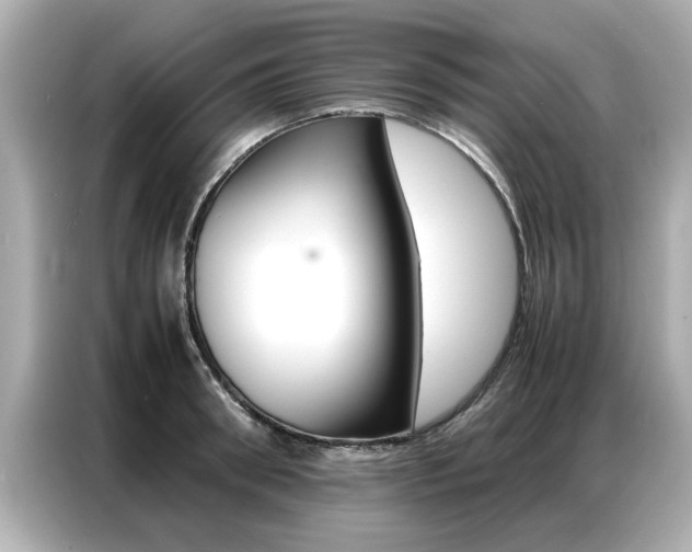 X0000087060898200704180934