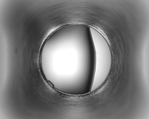X0000087060901200704180934