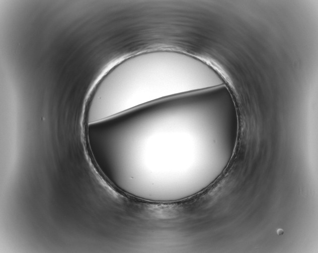 X0000087060902200704180934