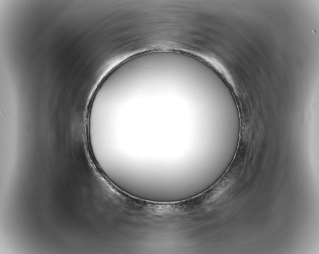 X0000087060903200704180934