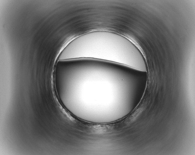 X0000087060906200704180934