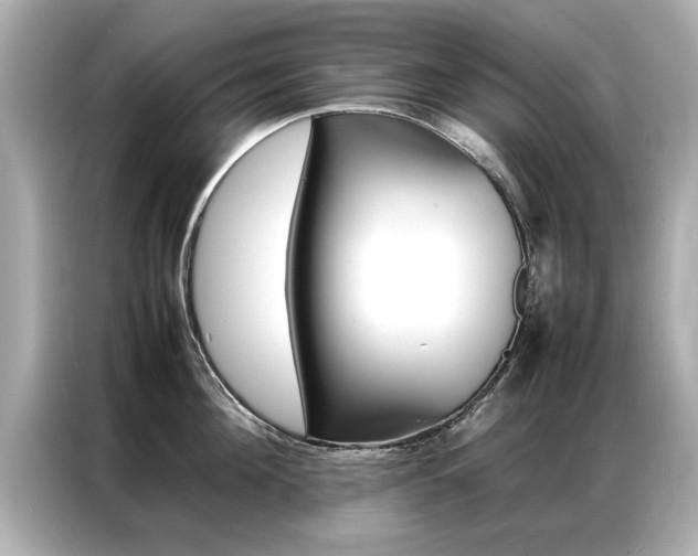 X0000087060908200704180934