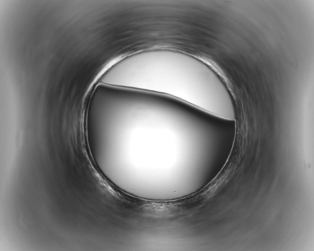 X0000087060910200704180934