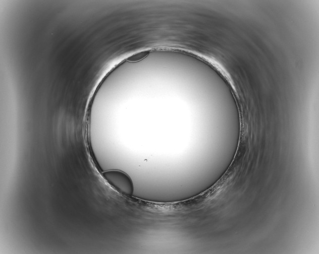 X0000087060911200704180934