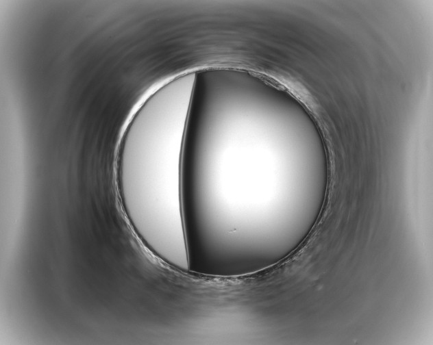 X0000087060912200704180934
