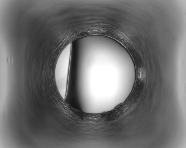 X0000087060915200704180934