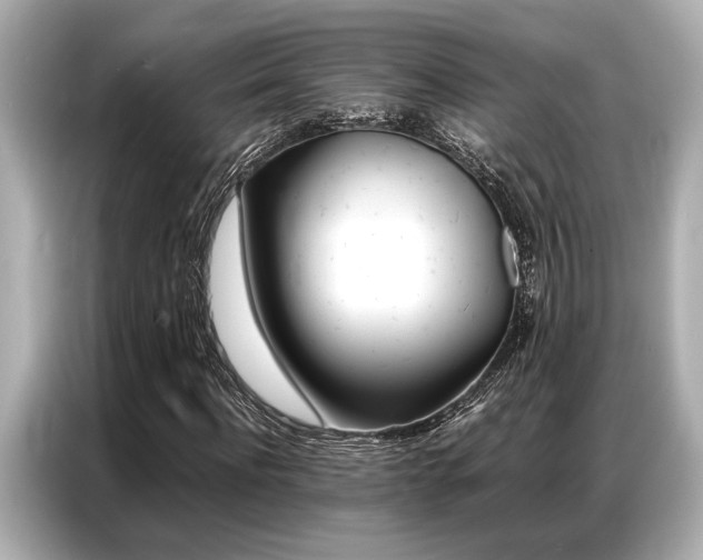 X0000087060916200704180934