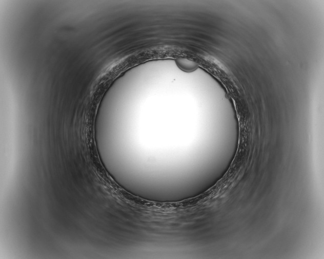 X0000087060919200704180934