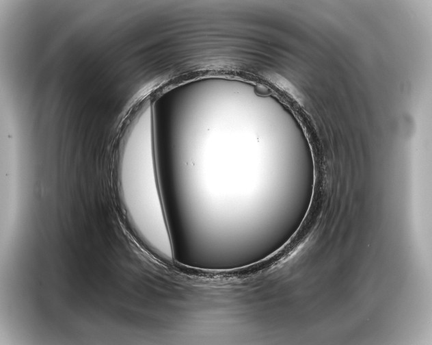 X0000087060922200704180934