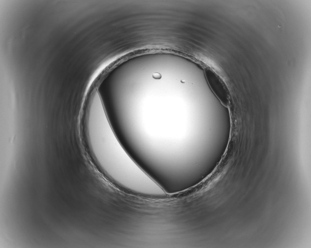 X0000087060928200704180934
