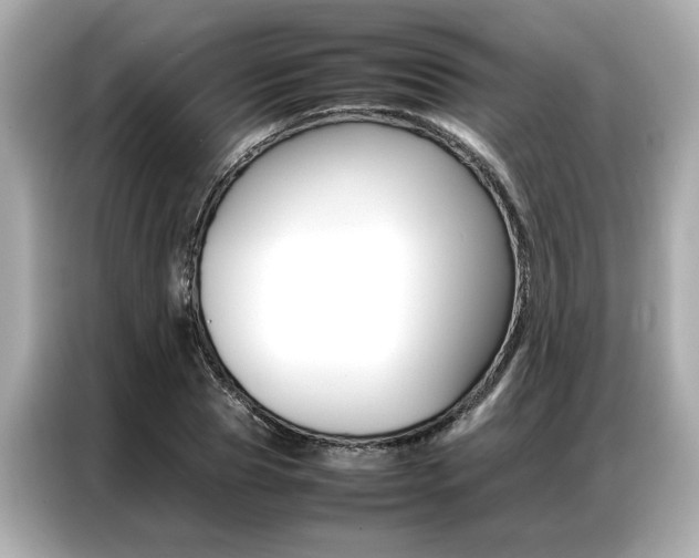 X0000087060929200704180934