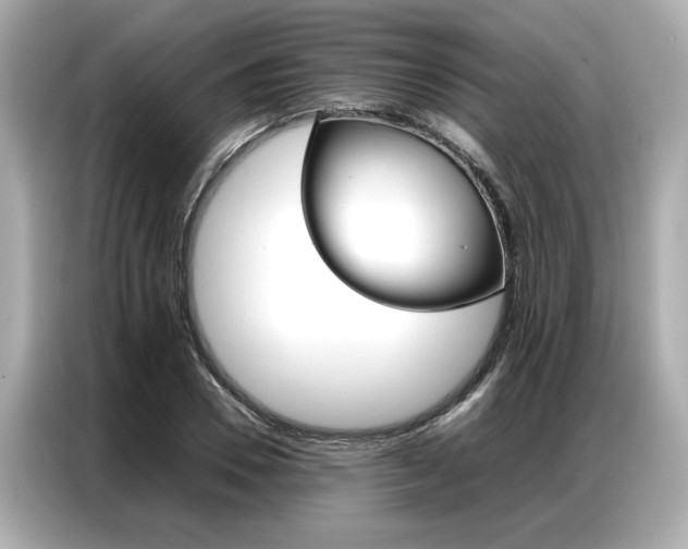 X0000087060930200704180934