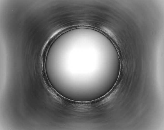 X0000087060931200704180934