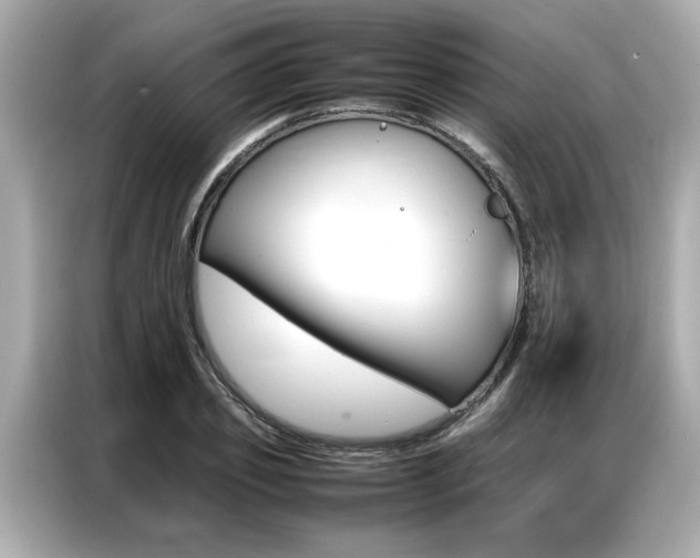 X0000087060933200704180934