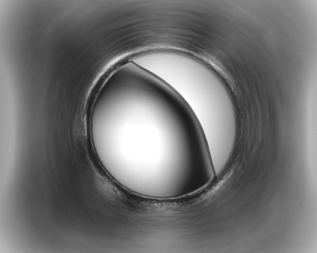 X0000087060934200704180934