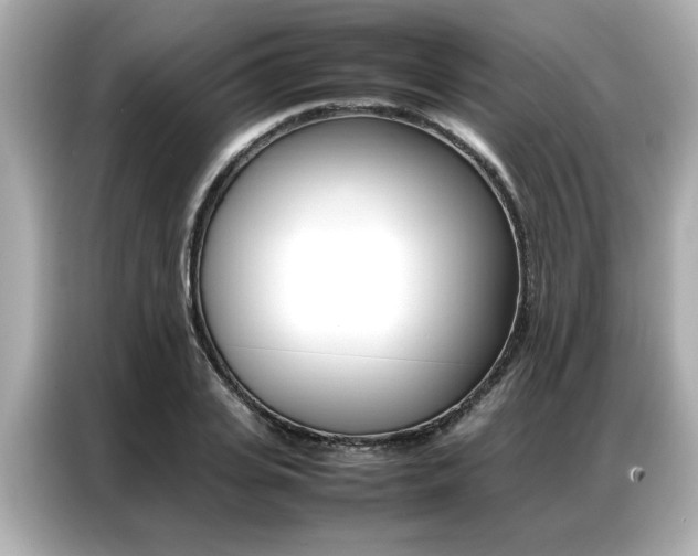X0000087060935200704180934
