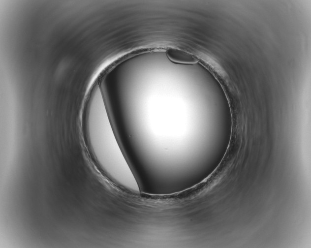 X0000087060936200704180934