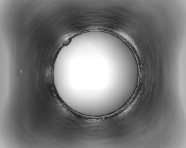 X0000087060937200704180934