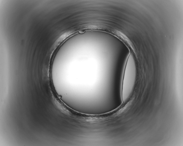 X0000087060938200704180934