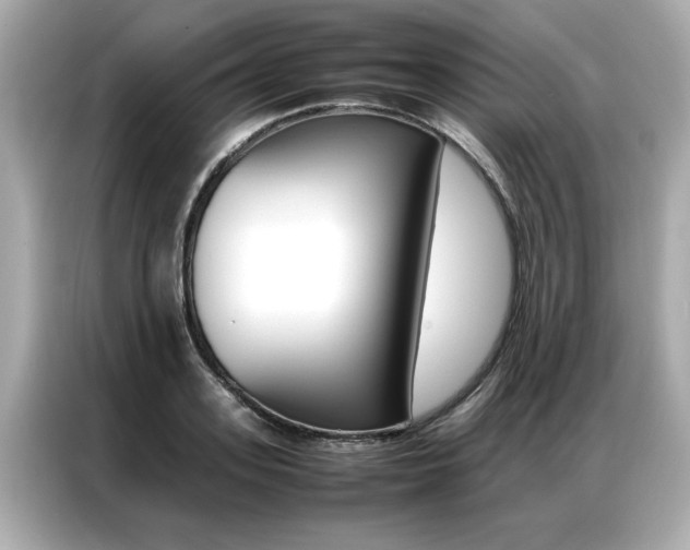 X0000087060939200704180934