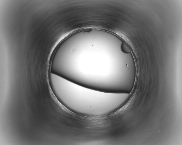 X0000087060941200704180934