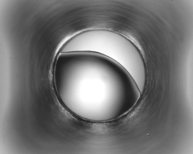 X0000087060944200704180934