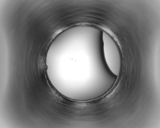 X0000087060945200704180934