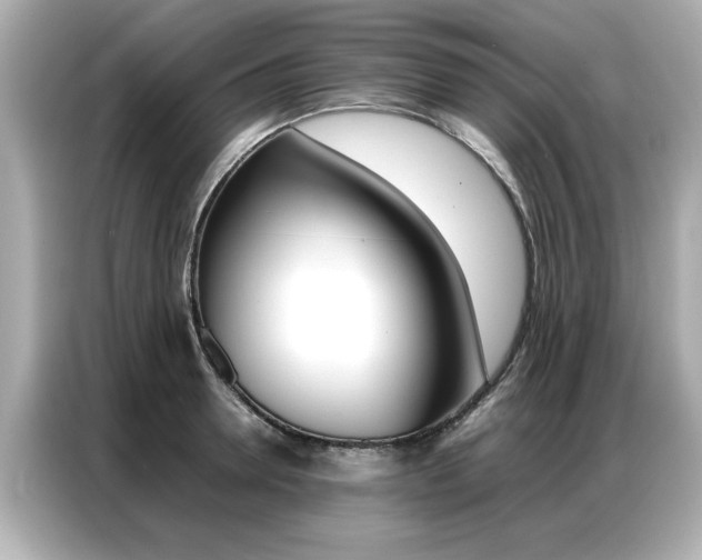 X0000087060946200704180934