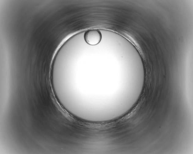 X0000087060948200704180934