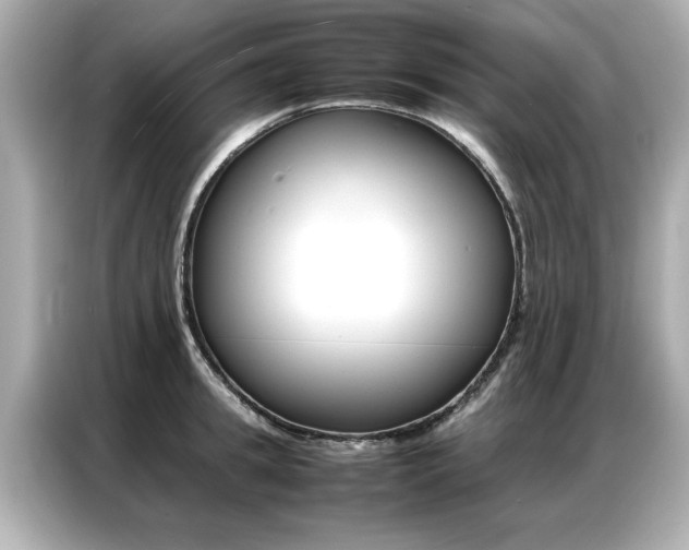 X0000087060949200704180934