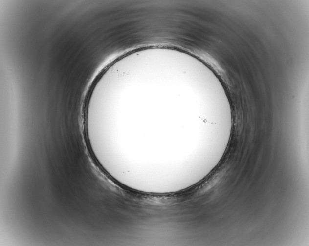 X0000087060950200704180934