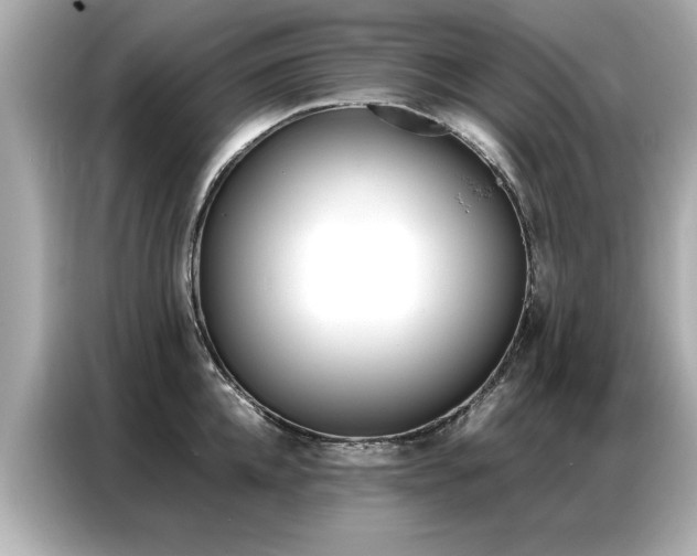 X0000087060952200704180934