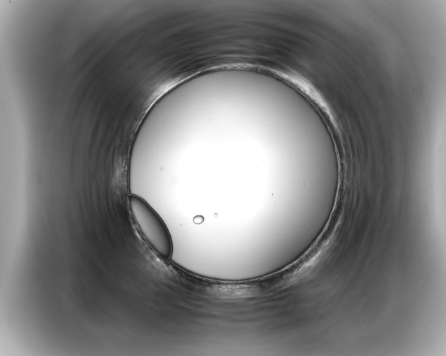 X0000087060953200704180934