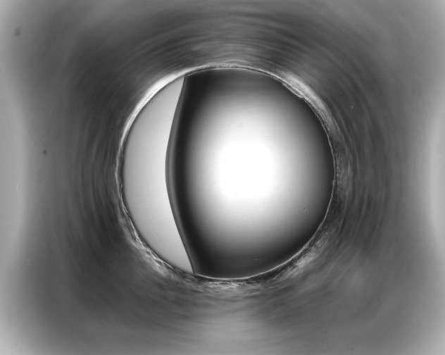X0000087060956200704180934
