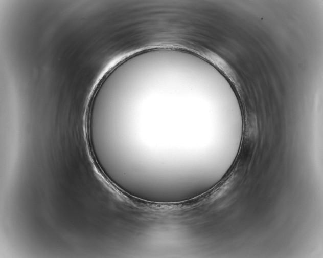 X0000087060958200704180934