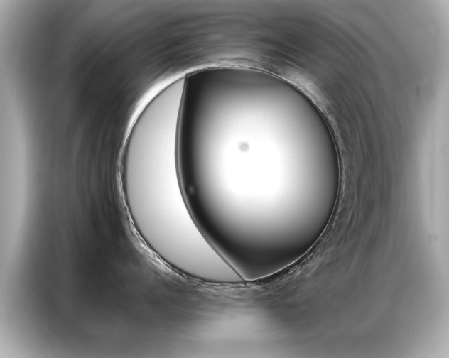 X0000087060960200704180934