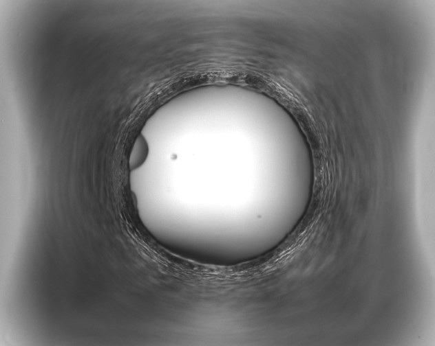 X0000087060961200704180934