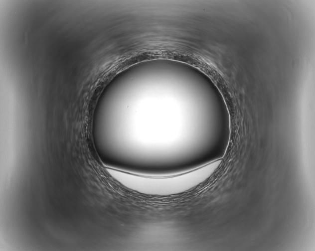 X0000087060965200704180934
