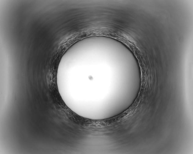 X0000087060966200704180933