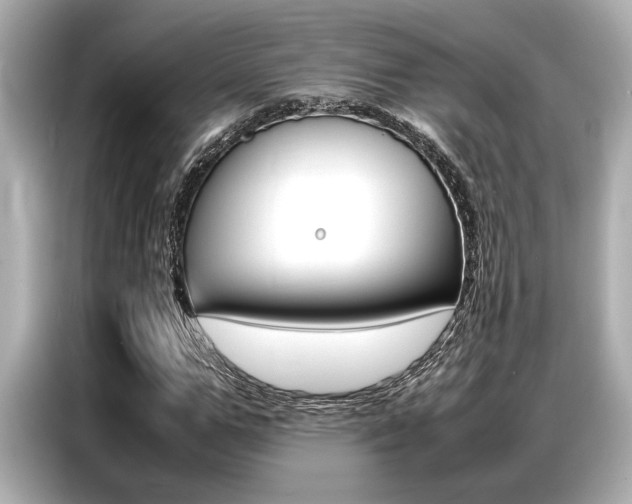 X0000087060967200704180933
