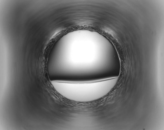 X0000087060968200704180933