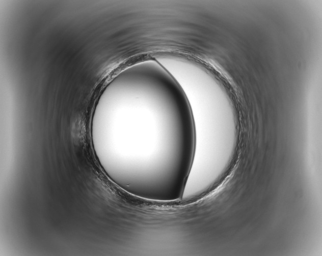X0000087060969200704180933