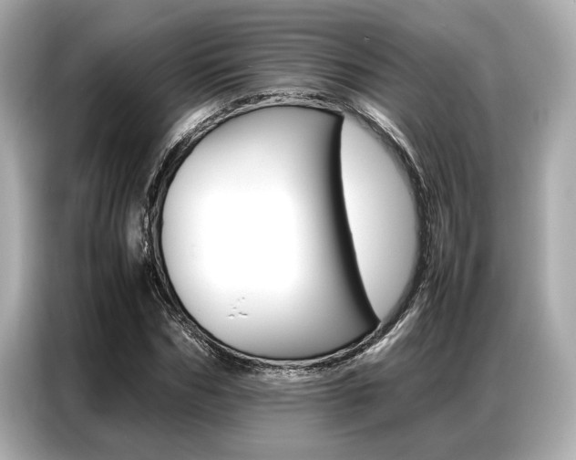 X0000087060970200704180933