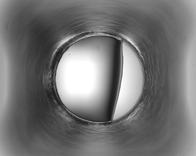 X0000087060971200704180933