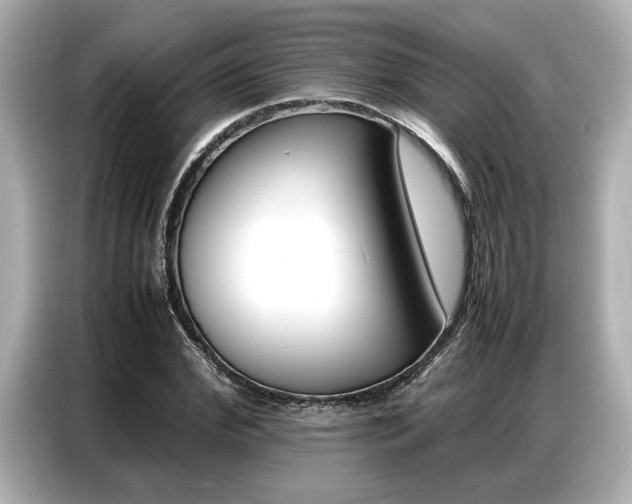 X0000087060972200704180933