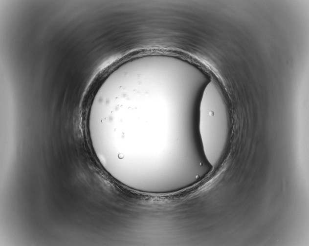 X0000087060974200704180933