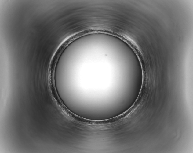 X0000087060976200704180933
